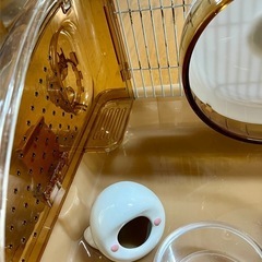バムスターカゴ・飼育ケースセットの画像