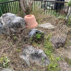 庭石　石　日本庭園