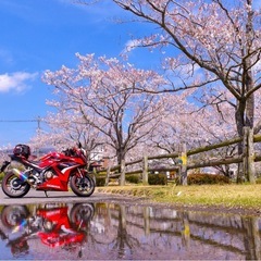 ～鹿児島市内でツーリング友達募集～