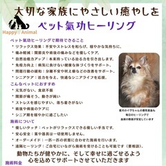 ペット氣功ヒーリング