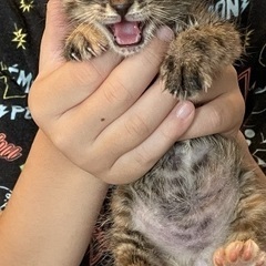 急募です！！