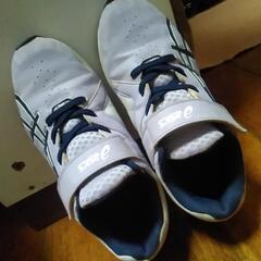 ASICS_22cmの画像