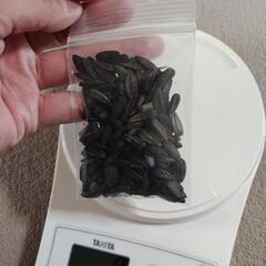 ひまわりの種