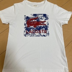 ラコステTシャツ