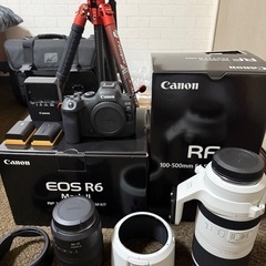 Canon EOS R6 Mark II フルセット