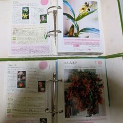 値下げしました。木草花の名前、育て方等を調べられるガーデニングの本3冊の画像