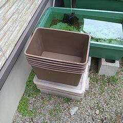 めだか入れもの断捨離