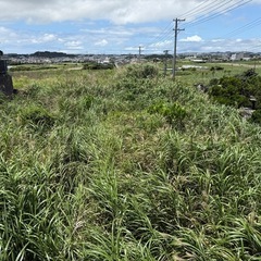 雑草で荒れた土地、畑、広場、など草刈り業務いたします