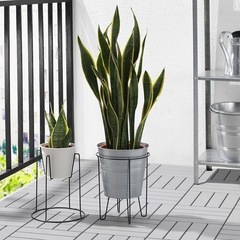 IKEA プラント置き