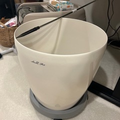 10号　ツボ