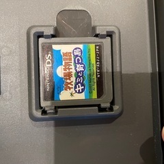 DSカセットの画像