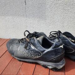 ミズノ野球スパイクの画像