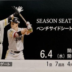 交流戦　ソフトバンクホークスVS 中日　ベンチサイドシート