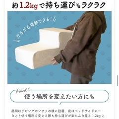 ドッグステップの画像