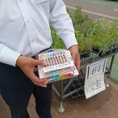 💁‍♀️🍀メダカ・昆虫チャリティー販売のご案内＆文房具寄付のお礼🍀