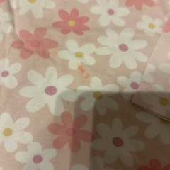 中古　ホットビスケッツ　サイズ100の画像