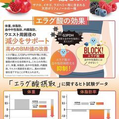 【新品・未開封】体脂肪の減少を助ける カロリンピュア（30日分）の画像