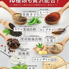 【新品・未開封】体脂肪の減少を助ける カロリンピュア（30日分）の画像