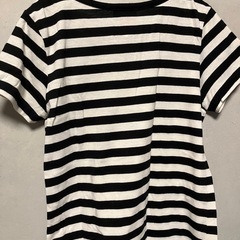 ボーダー半袖Tシャツの画像