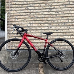 TREK DOMANE AL2 Gen4トレック ドマーネ 20...