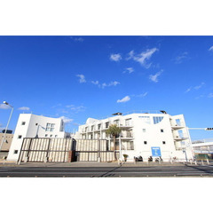 😇審査トース君😇敷礼0円 🌈 夜職/自営業/自己破産→審査通します❗️  ＪＲ東海道本線 茅ケ崎駅 徒歩39分❗️茅ヶ崎市柳島  ❗️AT50897 - 不動産