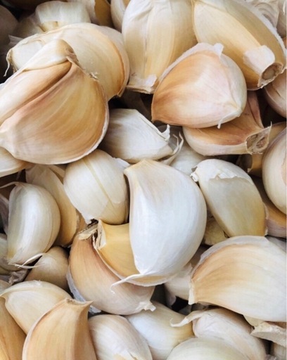 ＊バラニンニク10kg＊