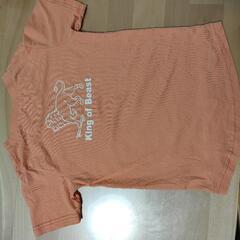 Tシャツ  110cmの画像