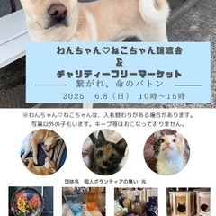 譲渡会のお知らせ！