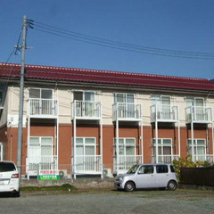 【家賃4万円でロフト付🏠】松江エリア人気物件💎夜職・水商売…