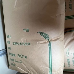 令和6年度栃木県産コシヒカリ玄米30kg