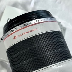 Canon EF70-200F2.8L IS Ⅱ USM + C...