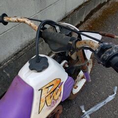 PW50の画像