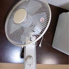 決まりました！　壁掛け扇風機