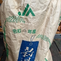 令和4年産新潟コシヒカリ