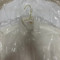 スクールシャツ  半袖 150 2枚セット