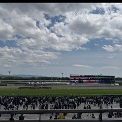 明日京都競馬場行きませんか⁇