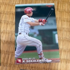 プロ野球チップスカードの画像