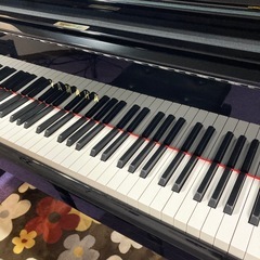 ピアノレッスン&歌レッスン