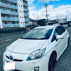 フリウス　30