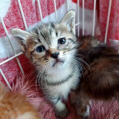 ５月４日生まれ🐾