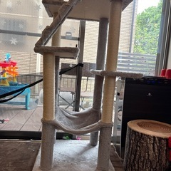 【決まりました】キャットタワー　ハイタイプの画像