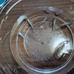 ②早めの取引限定の方のみ！メダカお譲り致します！(写真の水槽はつ...