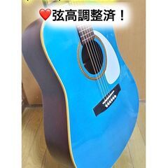 💙弦高調整済！「seagull S6 + SPRUCE」(*゜▽...