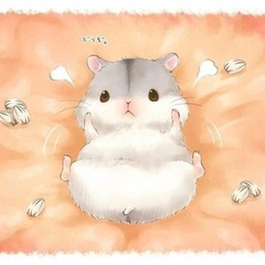 緊急！！ハムスター用品