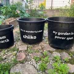 漬物樽　の画像