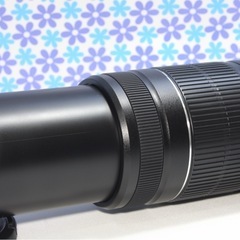 極美品★Canon EF-S 55-250mm IS II★手振れ補正★