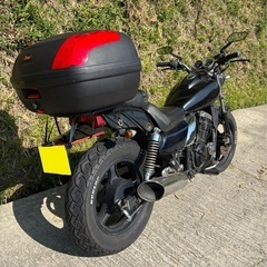 完売！ありがとうございました。エリミネーター250自賠責ロングの画像