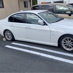 BMW320i綺麗な車です
の画像