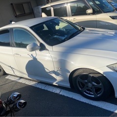 BMW320i綺麗な車です
の画像