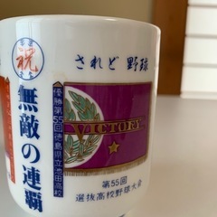 第65回全国高校野球選手権大会　湯呑み　池高の画像